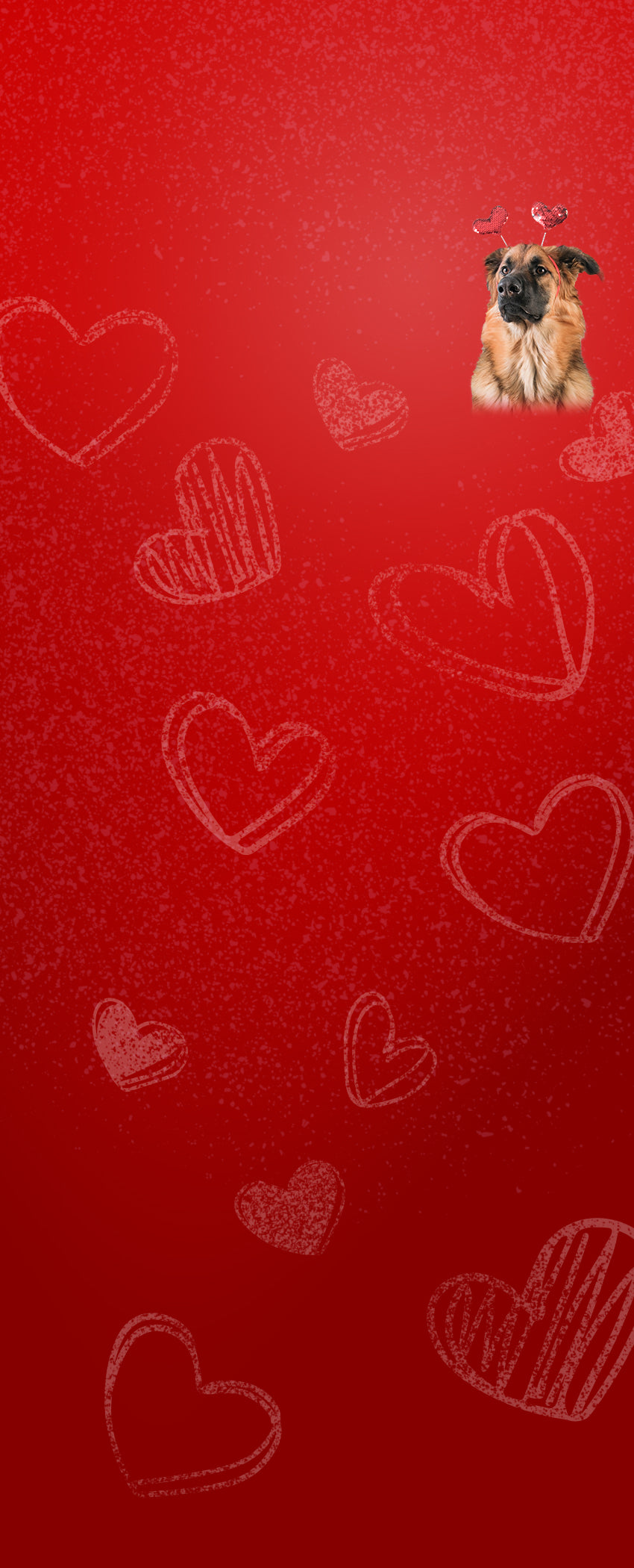 2026 Valentine's Day – Dr. Harvey's