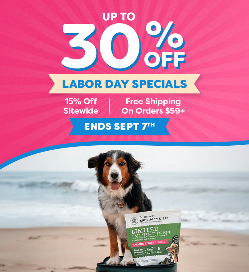 2026 Labor Day Sale