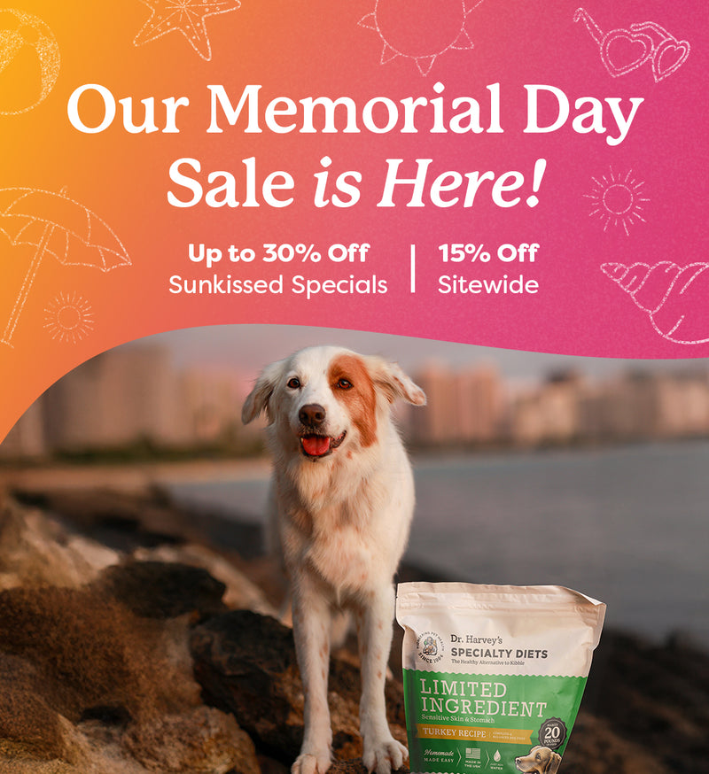 2026 Memorial Day Sale