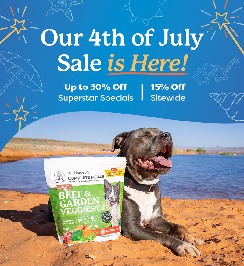 2026 Fourth of July Sale