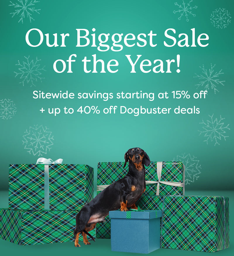 Black Friday Cyber Monday