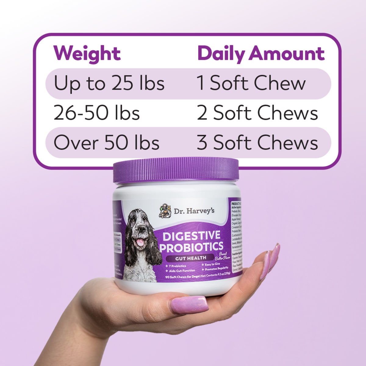 Digestive Probiotics Soft Chews For Dogs Dr Harvey s digestive-probiotics-soft-chews-for-dogs-dr-harvey-s