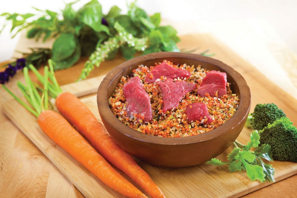 homemade dog food