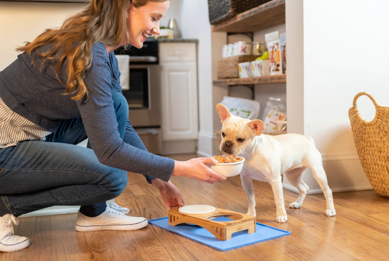 Woman feeding her French Bulldog with Dr. Harvey's food
