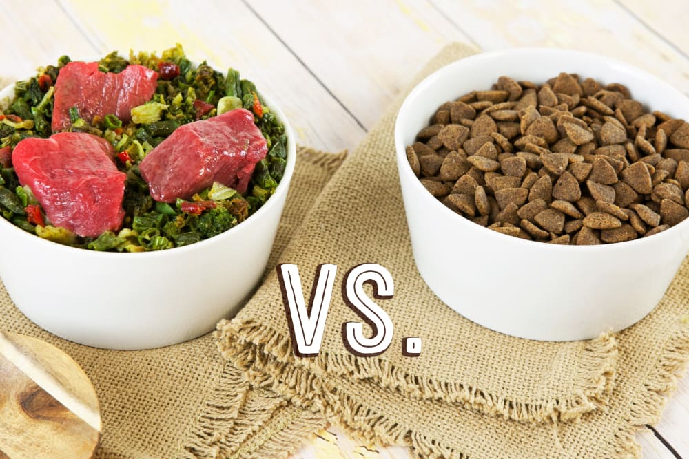 Two white bowls side by side: raw meat with greens vs. dry kibble, labeled "VS." on burlap