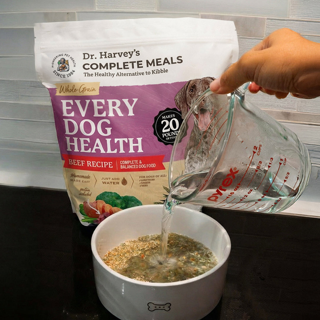 Dr. Harvey's Every Dog Health Beef Recipe dog food bag with water being poured from Pyrex measuring cup into dog bowl