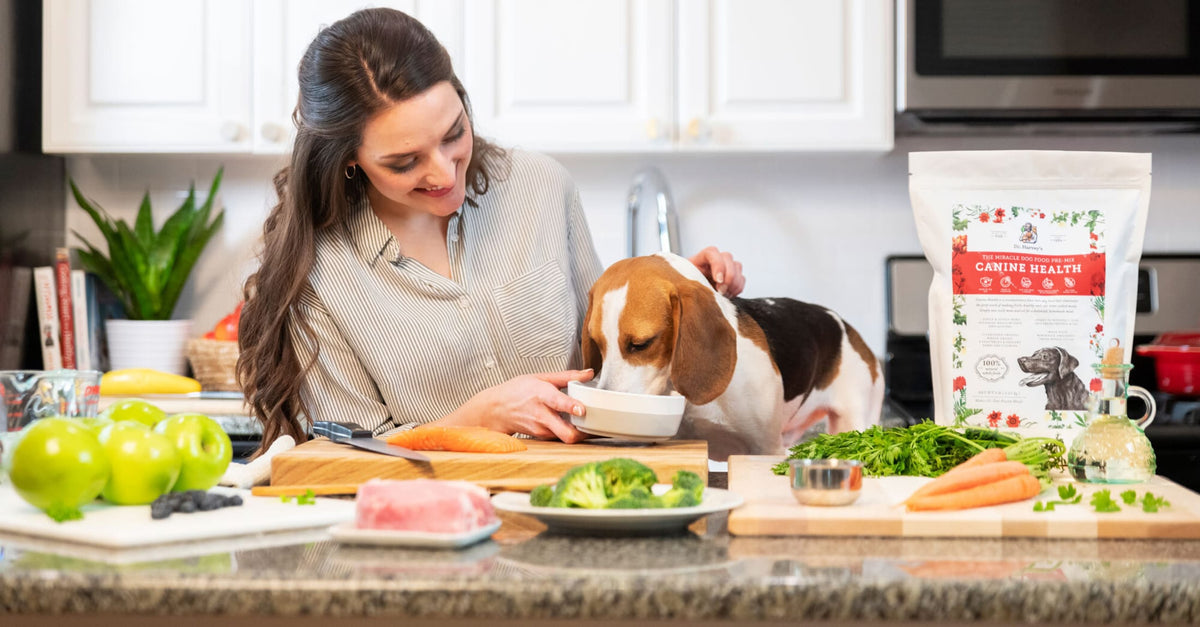 Woman feeding a beagle from a bowl at a kitchen counter with Dr. Harvey's Canine Health dog food pre-mix bag