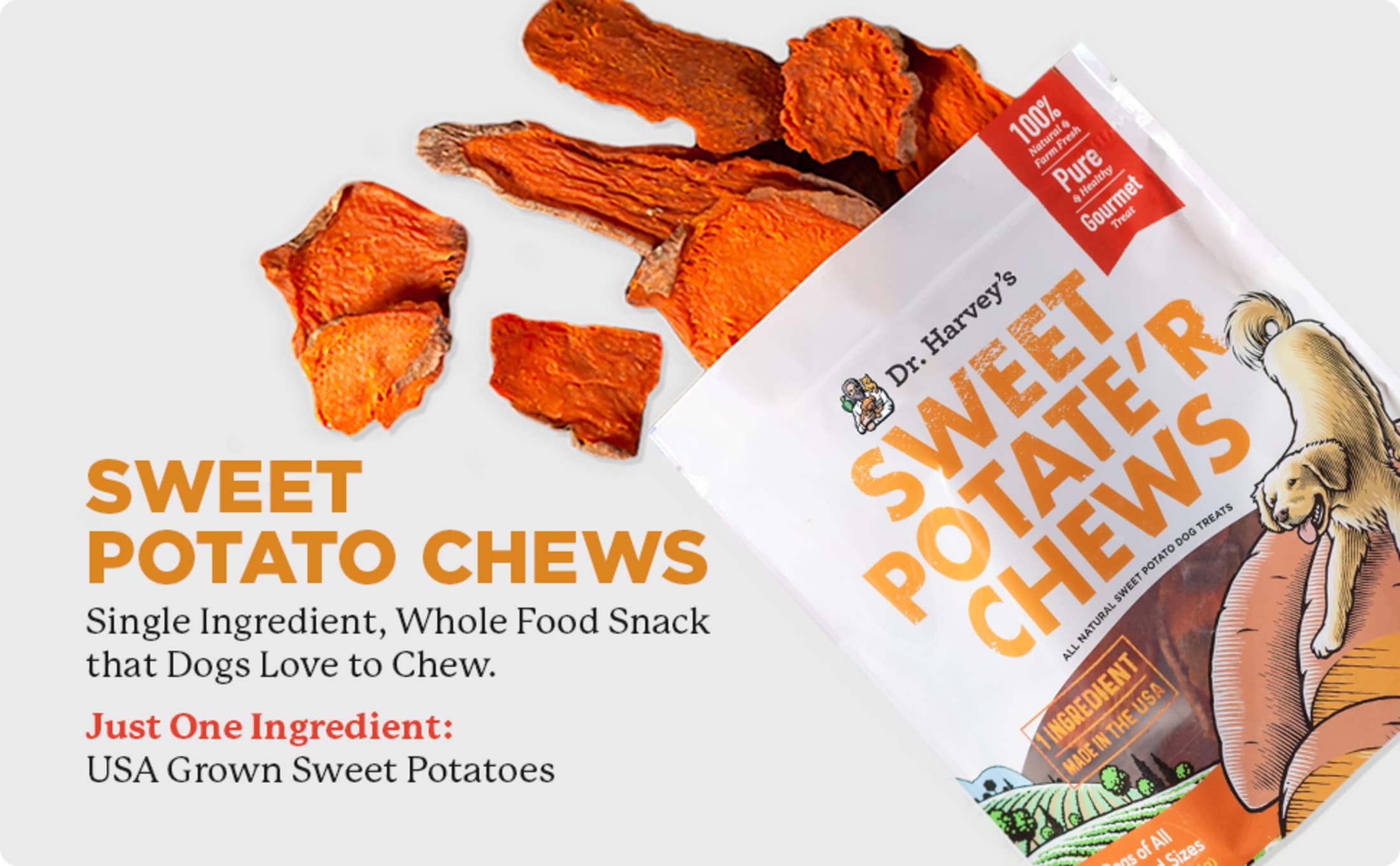 Potato Fries Can My Dog Eat Raw Sweet Potatoes Can Dogs Eat Sweet