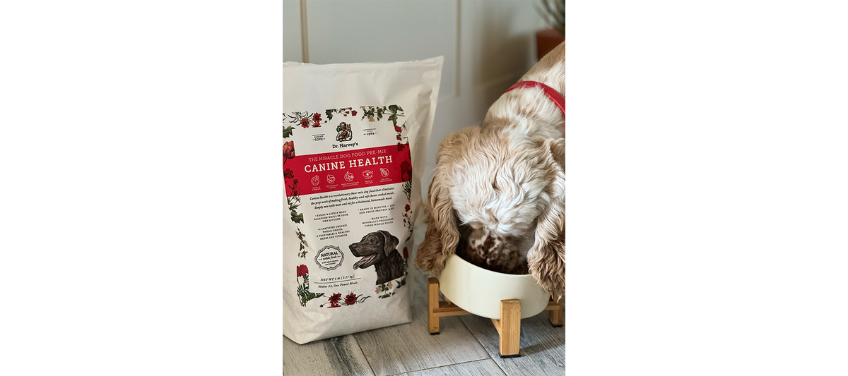 Dr. Harvey's Canine Health dog food pre-mix bag beside a Cocker Spaniel eating from a raised ceramic bowl
