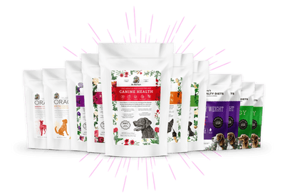 View All Dog Products