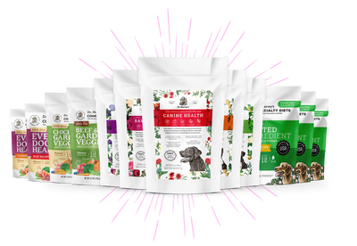 View All Dog Products